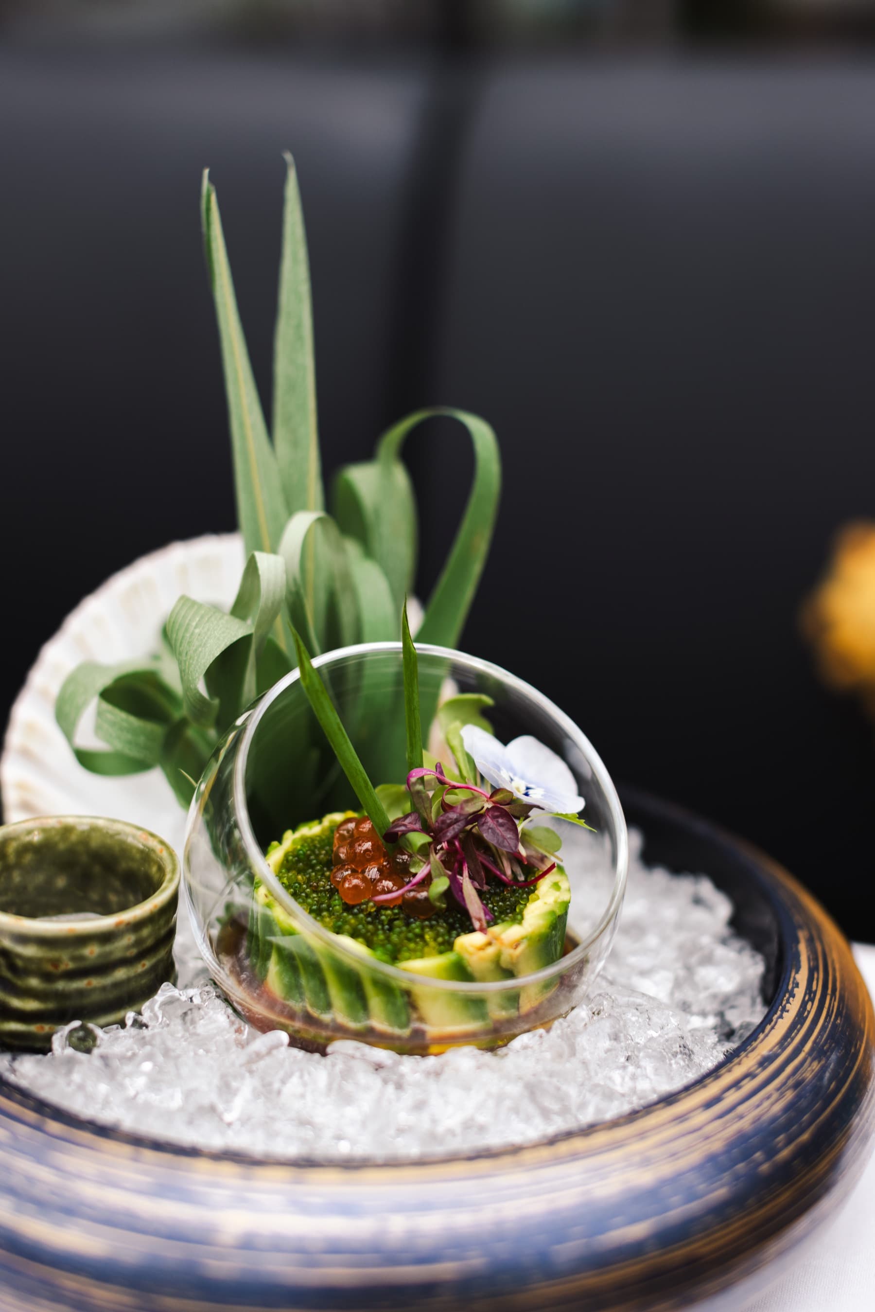 Tsunami Clapham, modern Japanese restaurant in Clapham SW4